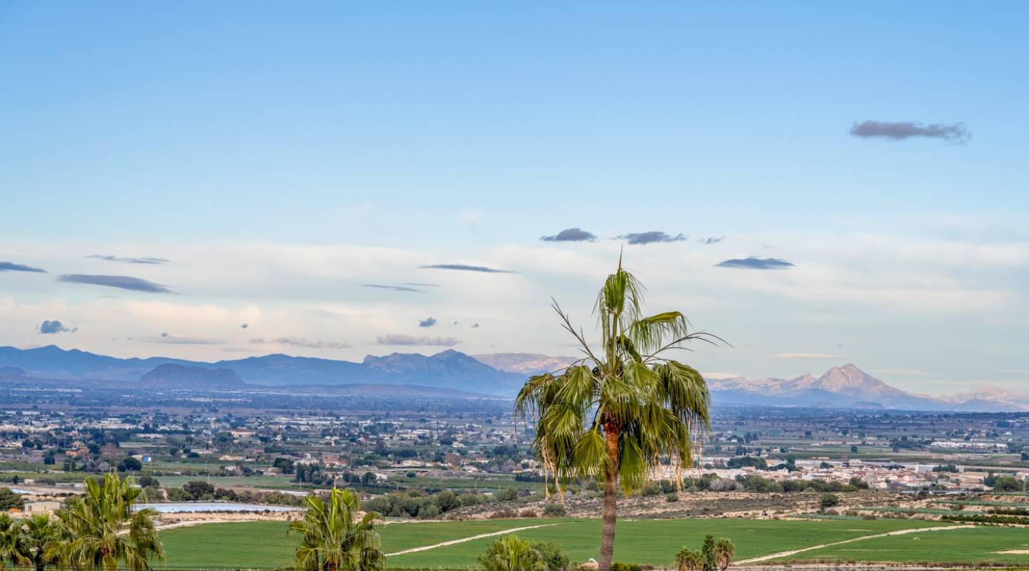 Wiederverkauf - Detached Villa - Algorfa - Lomas De La Juliana