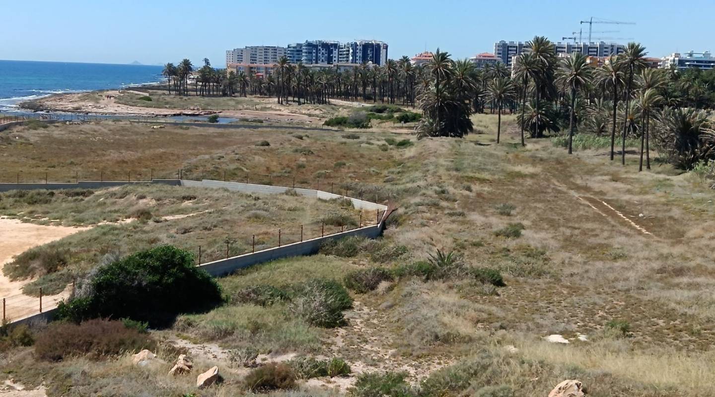 Venta - Apartamento - Torrevieja - Mar Azul